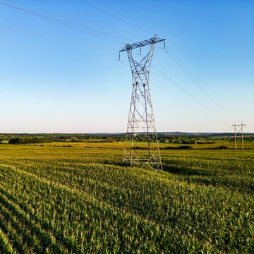 power line in corn field